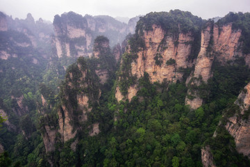 Fototapeta premium tall mountain peaks of yuanjiajie