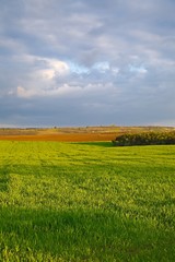 Agircutural landscape with clouds