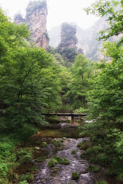 creekside with bridge in yangjiajie