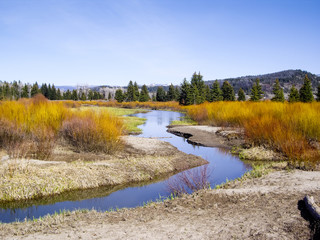 Riverbanks in Summer color