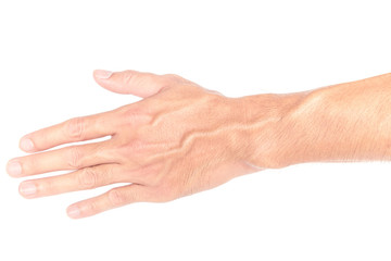 Man arm with blood veins on white backgrond