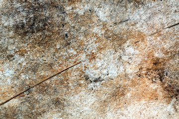 the old concrete wall.