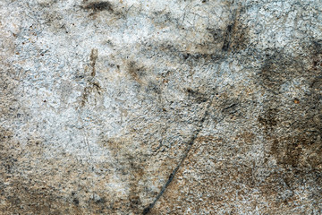 the old concrete wall.