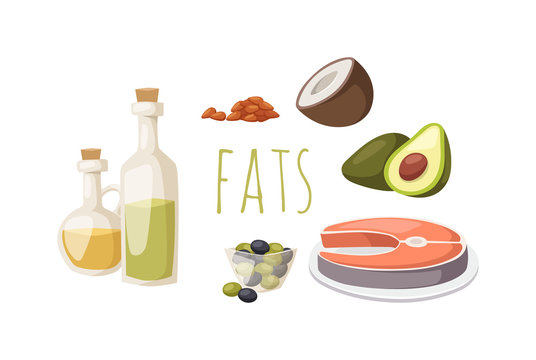 Food fats good high in protein isolated on white avocado, nuts and fish meat vector.