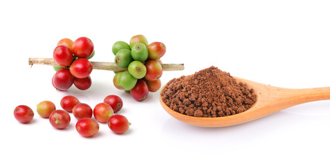  coffee beans isolated on white background