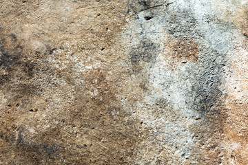 the old concrete wall.