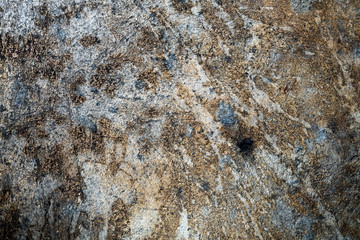 Stain on old cement texture
