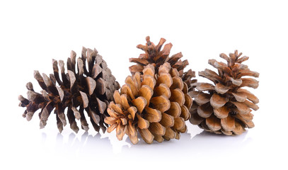 Pine cones isolated on white background