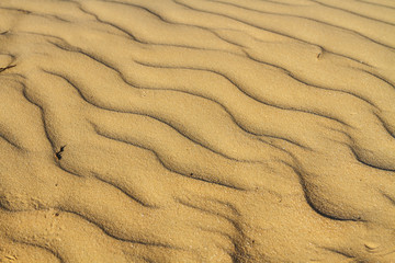 The sand of the desert at sunset .
