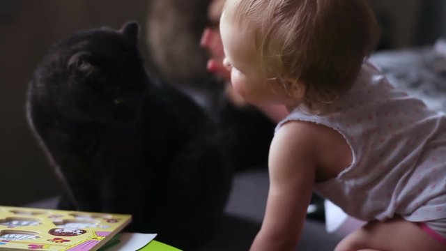 Little baby girl strokes a cat