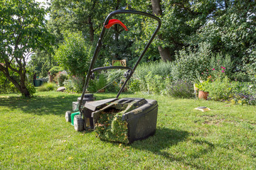 Bilder und Videos suchen: rasenschnitt