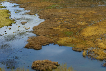 Lagoon landscape of bird aerial view