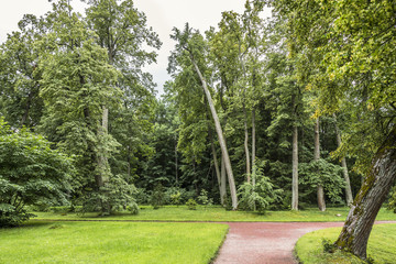 Naklejka premium Beautiful park place