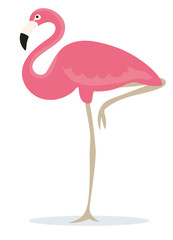 Rosa Flamingo auf einem Bein freigestellt