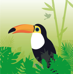 Tukan Papagei Dschungel Vektor © Co-Design