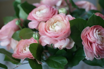 Букет розовых ранункулюсов
