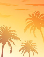 Fototapeta na wymiar Palms trees summer sunset tropical background
