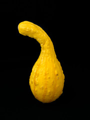 colored gourd