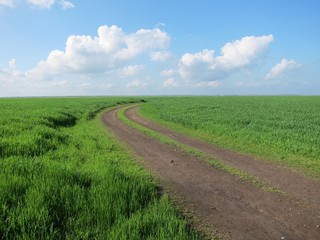 Fototapeta na wymiar Dirty road goes to horizon under cloudy blue sky in green fields