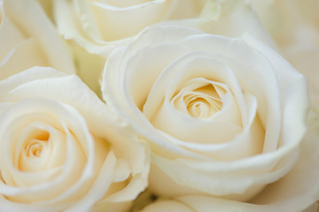Wedding bouquet of white rose flowers. White roses.