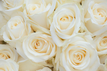 Wedding bouquet of white flowers. White roses.