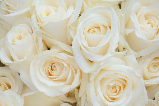 Wedding bouquet of white flowers. White roses.