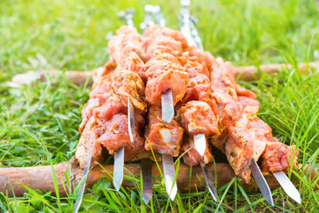 Many skewers with raw shish kebab