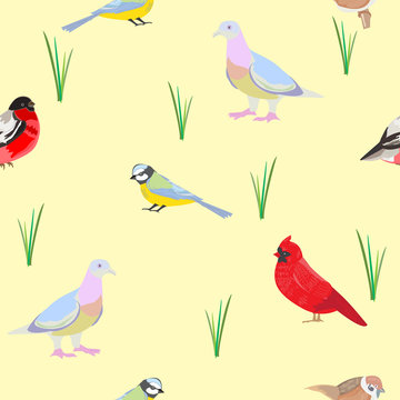 Seamless vector pattern with various drawn birds for design of f