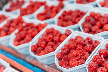 Yummy Organic Red Berries Raspberries At Market In Trays