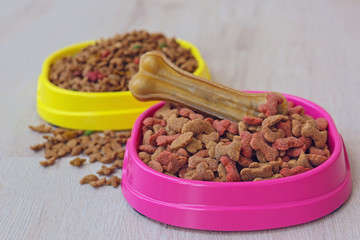 Bowls with dog food on the floor