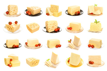 Collection of cheese isolated on white background. Set of different cheeses