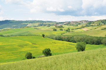 Fototapeta na wymiar Tuscan landscape, Italy