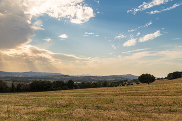 Fototapeta premium Sunset in the italian countryside