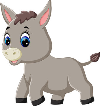 illustration of cute baby donkey cartoon 
