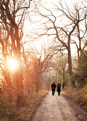 Senior couple walking in the sunset. Winter scene.