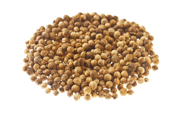coriander