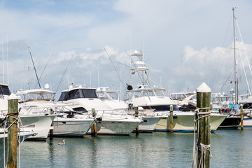 Large Fishing Boats in Tampa