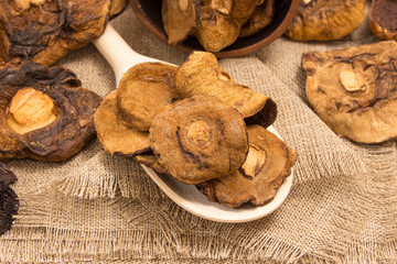 Dried mushrooms on canvas