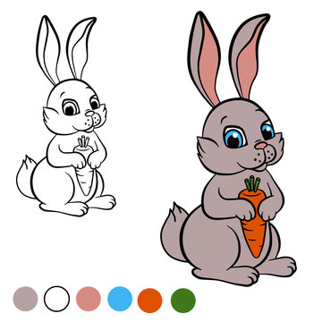 Coloring page. Color me: beaver.  Little cute hare holds a carrot in the hands and smiles.