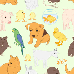 Animals pets vector colorful pattern
