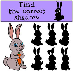 Children games: Find the correct shadow. Little cute hare sits and holds a carrot in the hands.