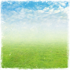 Fototapeta na wymiar green grass field , nature background