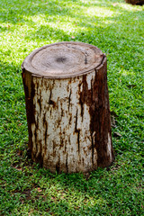 Old wooden stump.