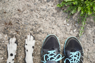 Close friendship between dog and its owner