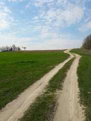 Fototapeta na wymiar dirt road in the spring field