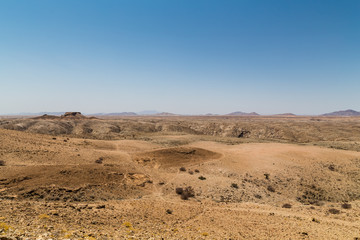 The Sheltering Desert