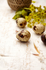 Spring easter composition with eggs and flowers on a white background old wooden