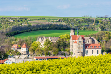 Schloss Seeburg im Mansfelder Land mit Rapsfeld
