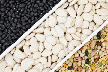 cropped image of mixture of food grains.