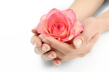 Woman hands with beautiful rose on white background, close up